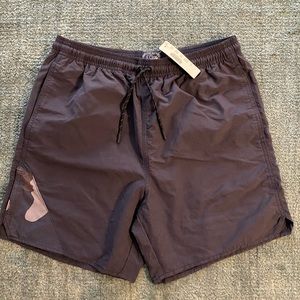 J. Crew Shorts